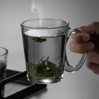 带把烟灰玻璃杯家用耐热泡茶杯客厅喝水杯具套装高档绿茶杯子待客