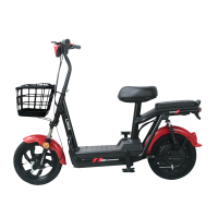 立马 尚乐48V新国标电瓶车亲子代步车通勤助力车男女电动自行车