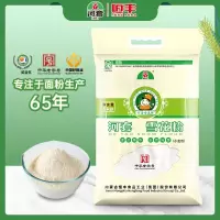 河套 雪花粉5KG