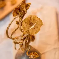 滋美世家 山珍菌菇 煲汤烹饪火锅食材 茶树菇120克 单位:袋