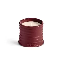 Loewe罗意威全系列香氛蜡烛170G/BEETROT-甜菜根