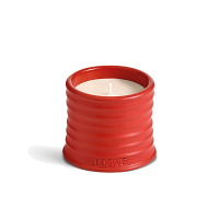 Loewe罗意威全系列香氛蜡烛170G/TOMATO