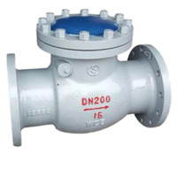 碳铸钢法兰旋启式止回阀中体DN100