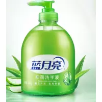蓝月亮 500g蓝月亮芦荟洗手液(瓶+瓶)2瓶装