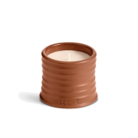 Loewe罗意威全系列香氛蜡烛610G/JUNIPER