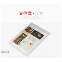 金得利单页夹E310透明A4 10个