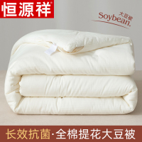 被子冬被抗菌大豆纤维被纯棉提花春秋被棉被芯加厚保暖