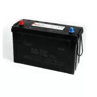 骆驼 6-QW-100 100AH 蓄电池