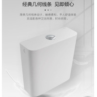 Aibik卫生间家用水箱厕所配件节水大冲力按键双档卫浴速冲水箱 (36*34*11)