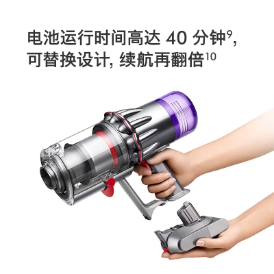 戴森Dyson(V10轻量旗舰版)Digital Slim Fluffy+无线吸尘器 手持 家用