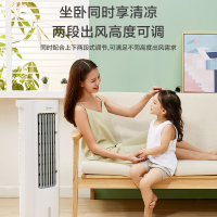 美的(Midea)家用冷风扇水冷塔扇节能遥控制冷空调扇加湿 AAD10AR