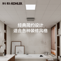 科勒安得适系列浴室集成吊顶led灯嵌入式厨房卫生间吸顶灯24639T
