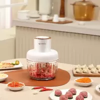 艾美特绞肉机 CL2002