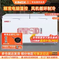 星星(XINGX) BD/BC-519E 519升冰柜 冷柜 卧式大容量商厨商用保鲜设备 深冷速冻 电脑温控