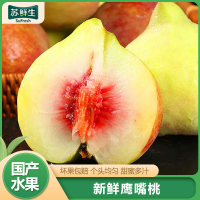 [苏鲜生]新鲜云南鹰嘴桃 新鲜水果 净重5斤 大果 单果110-150g 应季现摘脆甜毛桃子 整箱