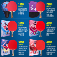 红双喜乒乓球拍H星级1~6星小学生儿童初学者兵乓球拍双面反胶单拍套装(送训练用球)