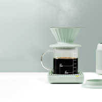 北鼎(Buydeem)咖啡滤杯家用双层过滤网食品级硅胶手冲咖啡套装漏斗滤网器具工具套装