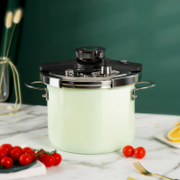 sohome靓彩不锈钢珐琅力压锅珐琅瓷快锅旋转高压锅德国进口珐琅 浅绿色