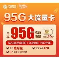 中国移动心动卡29包95G高速大流量当地归属地(测试勿拍)