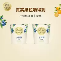 北海牧场小鲜酪蓝莓果味低温酸奶0蔗糖100g*12杯风味发酵乳