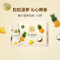 北海牧场宝石瓶低温酸奶0蔗糖椰子菠萝味风味发酵乳220g*12杯