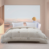 水星家纺多效净醛大豆被122269