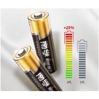 南孚(NANFU)南孚5#电池48节