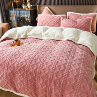 2022新款纯色A版塔肤绒B版包边法莱绒牛奶绒水晶绒宝宝绒婴儿绒被套四件套