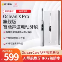 欧可林 Oclean X Pro旗舰版智能声波电动牙刷 霜岩灰