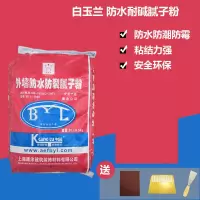 外墙腻子粉 防水腻子粉 修复墙面裂缝破损起皮 防霉耐水原子灰(BY)