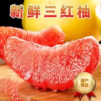 [西沛生鲜] 当季新鲜三红柚 净重2.5斤装 1-2个 单果 新鲜柚子水果 蜜柚西沛