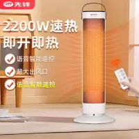 先锋(SINGFUN)取暖器暖风机家用小型安全节能电暖气休闲多场景使用加热器烤火炉直流电机左右摇头DNF-N1R-IOT