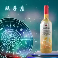 奔富Penfolds 红酒 澳大利亚进口葡萄酒 洛神山庄 私家臻藏十二星座 750ml 双子座