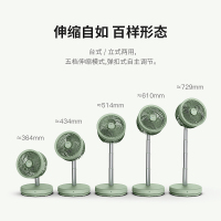 蓝宝(BLAUPUNKT)BP-X3电风扇空气循环扇可伸缩折叠家用浅衫绿