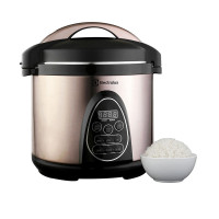 伊莱克斯(ELECTROLUX)EGPC7202微电脑电压力锅6L