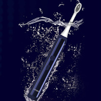 西铁城EHS529-NV 声波电动牙刷