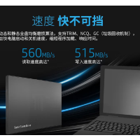 联想(Lenovo) 固态硬盘 256G