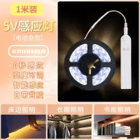 灯带条 5v感应器电池款-白光+1米