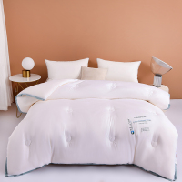 秋冬新款抗菌纤维冬被被子被芯