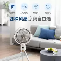 摩飞电器(Morphyrichards) 电风扇家用落地扇便携风扇电扇变频无线充电卧室户外露营 有线款 MR3800