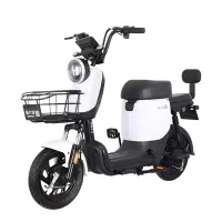 新大洲派乐/PALLA K13 PLUS 新国标电动自行车48V24Ah锂电电动车 油光黑/塔夫绸白