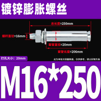 镀锌膨胀螺丝 M16*250(10个)