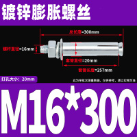 镀锌膨胀螺丝 M16*300(10个)