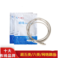 大唐电信六类网线级超五类非屏蔽网络跳线电话语音跳线 六类屏蔽 1m