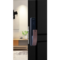 琨山智能锁W85智能门锁家用指纹锁 淡咖啡(LX)