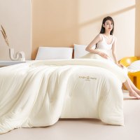 A类羊绒蛋白被冬被加厚保暖棉被芯春秋被子被褥双人家用床品冬季