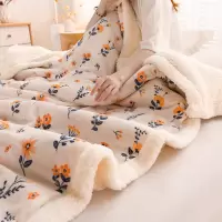 卡洛儿杜香牛奶绒羊羔绒毛毯冬季双层加厚珊瑚绒小毯子午睡办公室床上用盖毯