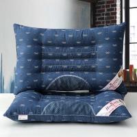 洁丽雅全棉决明子单人荞麦护颈椎枕助睡眠双人枕芯 一对装家用