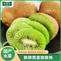 [苏鲜生]陕西周至绿心猕猴桃 新鲜水果 奇异果 大果 单果90-110g 24枚装 弥猴桃当季香甜 西沛