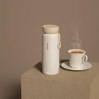 大宇便携式电热水杯D8